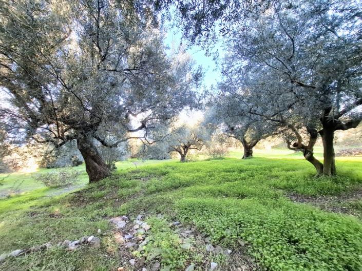 Image No.36-Maison de 3 chambres à vendre à Péloponnèse