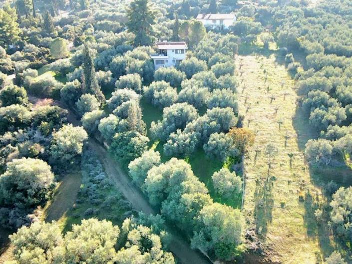 Image No.37-Maison de 3 chambres à vendre à Péloponnèse