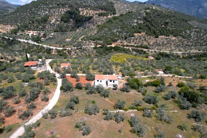 Image No.46-Maison de 3 chambres à vendre à Epidavros