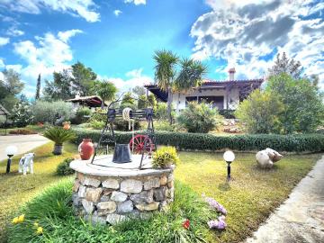 484501148_1835977330588904_2049317458603291_n