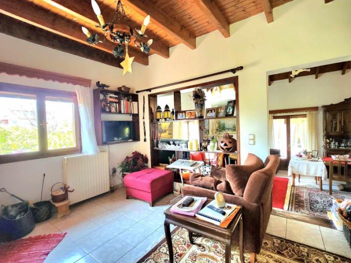 Image No.11-Maison de 3 chambres à vendre à Péloponnèse