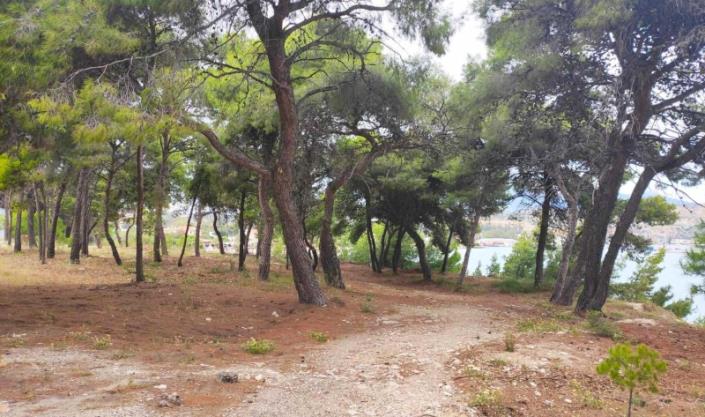 Image No.25-Maison / Villa de 3 chambres à vendre à Loutraki