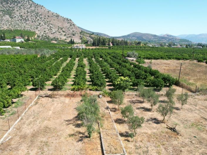 Image No.18-Maison de campagne de 3 chambres à vendre à Argos