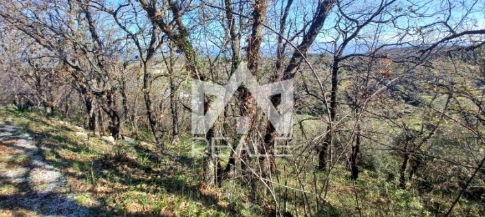 Image No.2-Terrain à vendre à Corfou