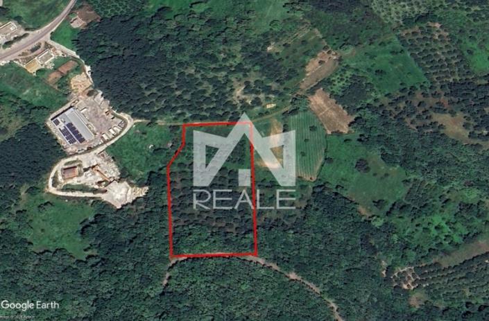 Image No.7-Terrain à vendre à Corfou