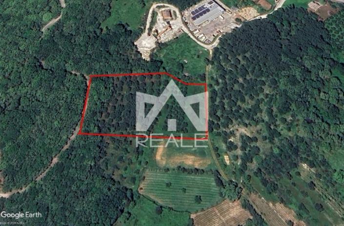 Image No.8-Terrain à vendre à Corfou