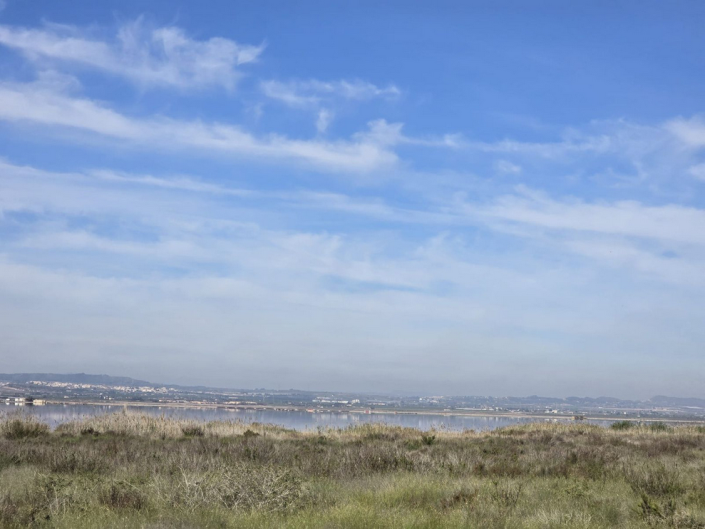 Image No.21-Appartement de 2 chambres à vendre à Torrevieja