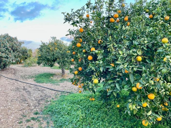 Image No.25-Maison / Villa de 5 chambres à vendre à Benidorm