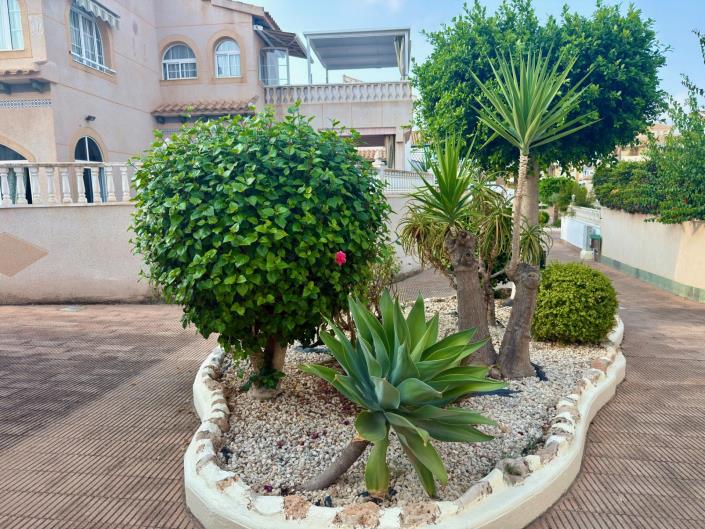 Image No.34-Maison de ville de 3 chambres à vendre à Torrevieja