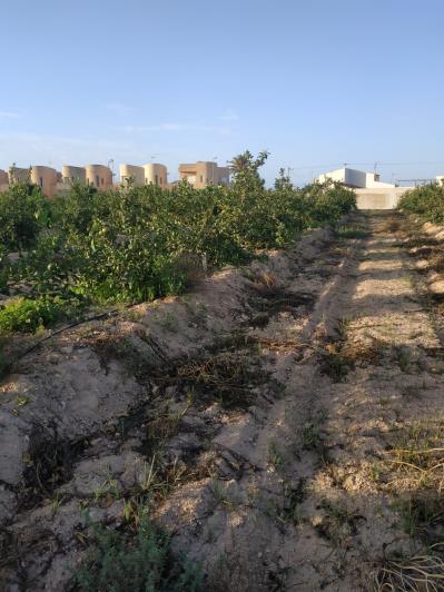 Image No.12-3 Bed Villa for sale