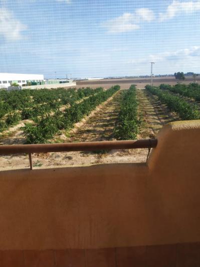 Image No.38-3 Bed Villa for sale