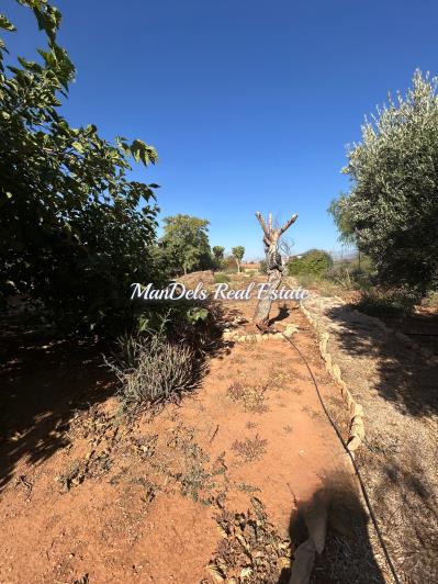 Image No.19-Finca de 3 chambres à vendre à Fuente Álamo