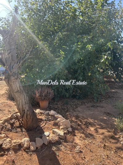 Image No.24-Finca de 3 chambres à vendre à Fuente Álamo