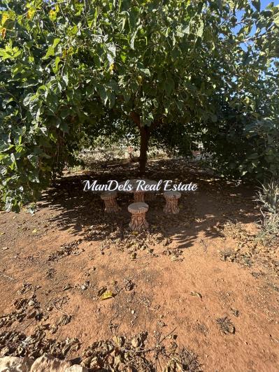 Image No.25-Finca de 3 chambres à vendre à Fuente Álamo