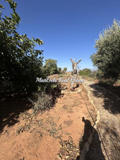 Image No.26-Finca de 3 chambres à vendre à Fuente Álamo