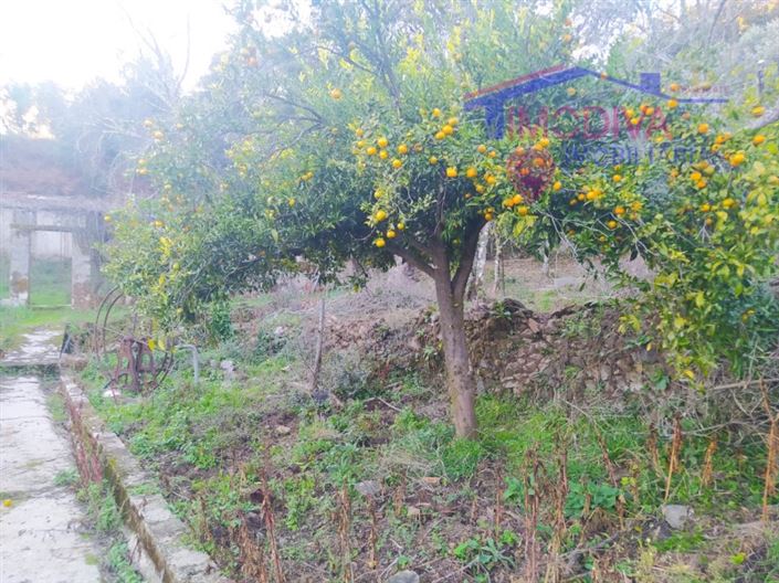 Image No.28-Maison de 3 chambres à vendre à Góis
