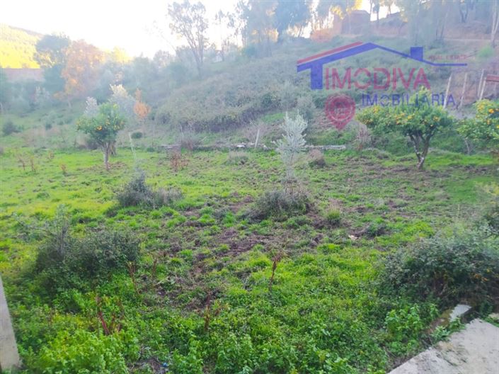 Image No.33-Maison de 3 chambres à vendre à Góis