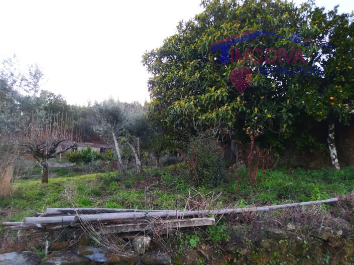 Image No.41-Maison de 3 chambres à vendre à Góis