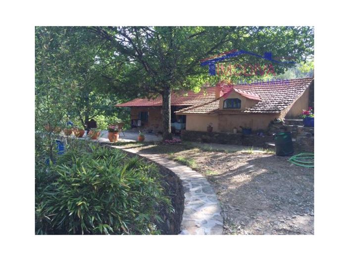 Image No.5-Ferme de 5 chambres à vendre à Castanheira de Pêra