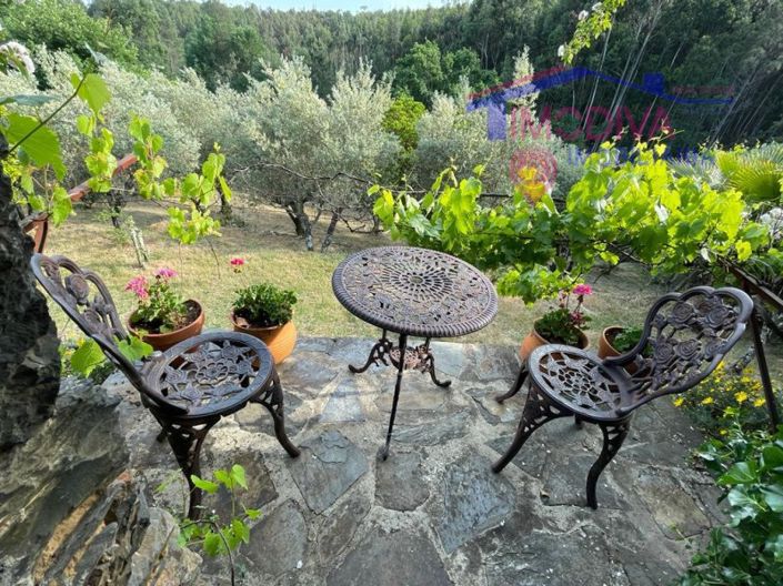 Image No.23-Ferme de 5 chambres à vendre à Castanheira de Pêra