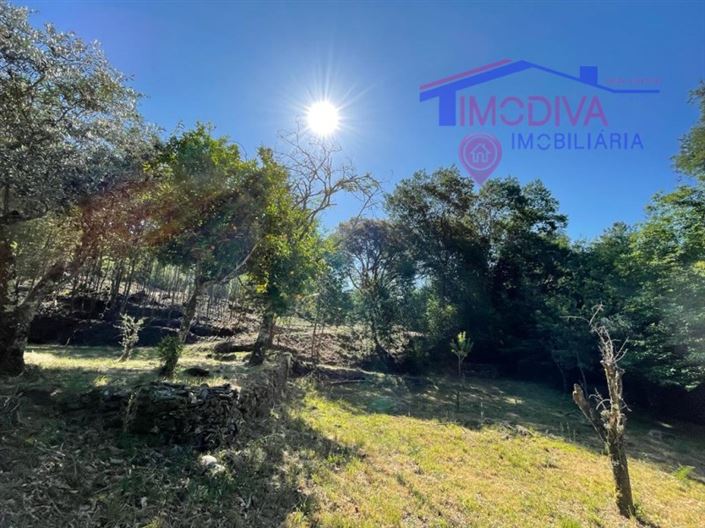 Image No.28-Ferme de 5 chambres à vendre à Castanheira de Pêra