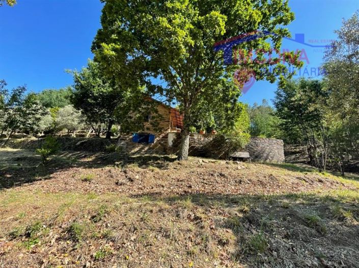 Image No.30-Ferme de 5 chambres à vendre à Castanheira de Pêra