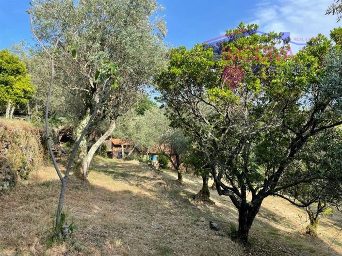 Image No.34-Ferme de 5 chambres à vendre à Castanheira de Pêra