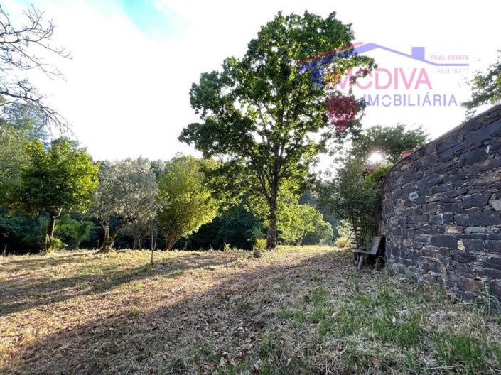 Image No.32-Ferme de 5 chambres à vendre à Castanheira de Pêra