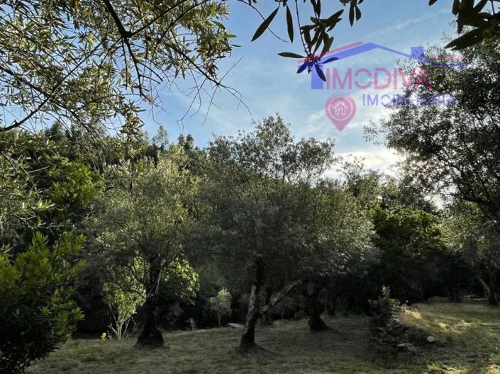 Image No.33-Ferme de 5 chambres à vendre à Castanheira de Pêra