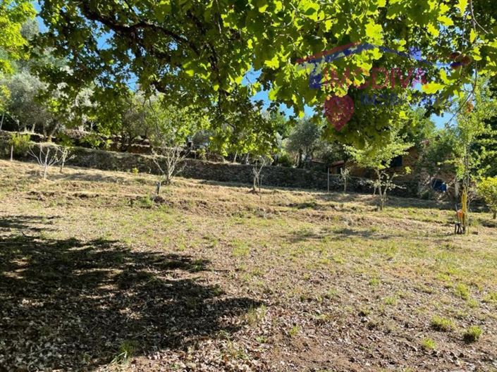 Image No.36-Ferme de 5 chambres à vendre à Castanheira de Pêra