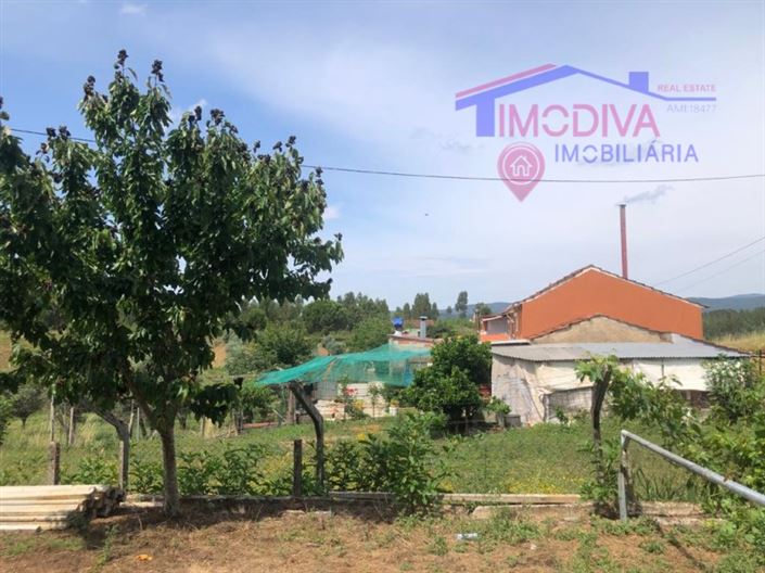 Image No.19-Maison de 6 chambres à vendre à Pedrógão Grande