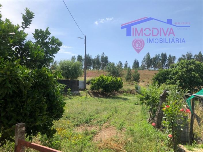 Image No.27-Maison de 6 chambres à vendre à Pedrógão Grande