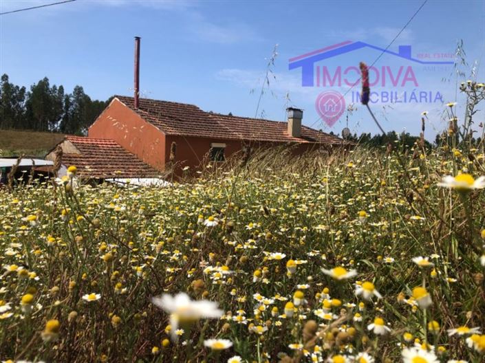 Image No.3-Maison de 6 chambres à vendre à Pedrógão Grande