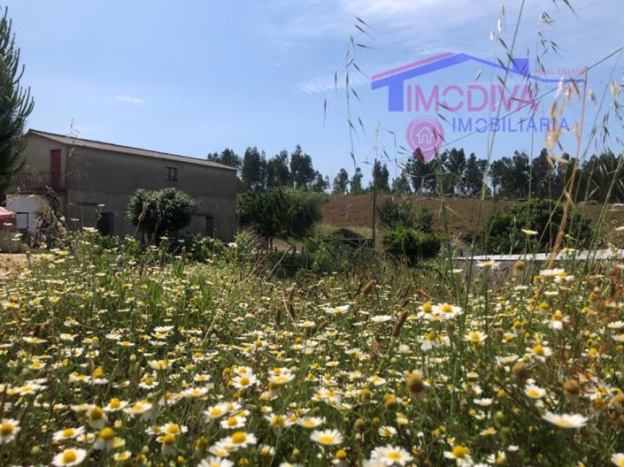 Image No.28-Maison de 6 chambres à vendre à Pedrógão Grande