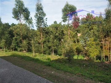 ide65c5101-0000-0500-0000-000010b87b23