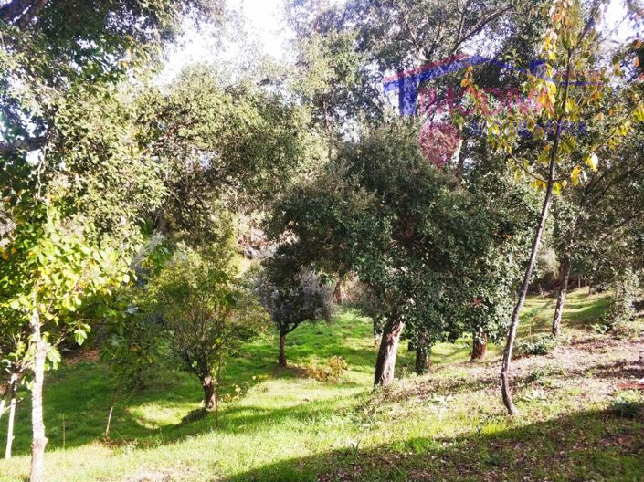 Image No.13-Plot for sale