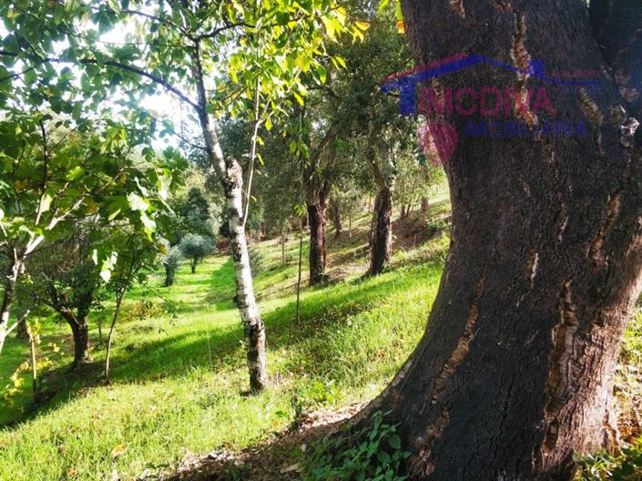 Image No.5-Plot for sale