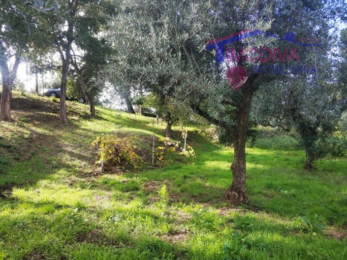 Image No.4-Plot for sale