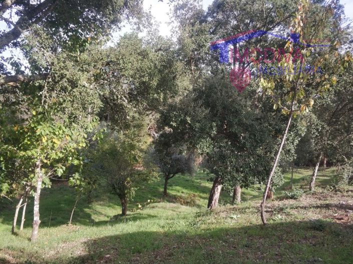 Image No.8-Plot for sale