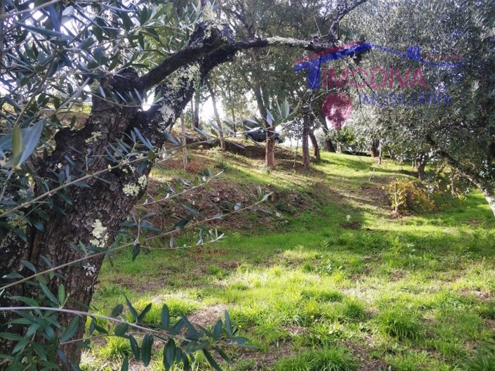 Image No.9-Plot for sale