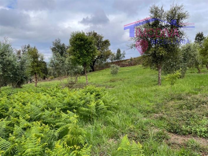 Image No.10-Plot for sale