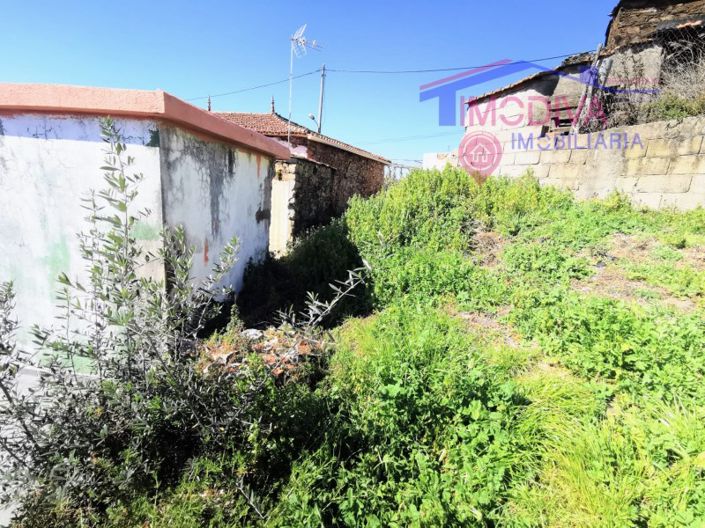 Image No.31-Maison de 4 chambres à vendre à Pampilhosa da Serra