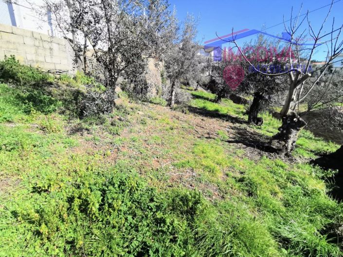 Image No.32-Maison de 4 chambres à vendre à Pampilhosa da Serra