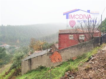 1 - Figueiró dos Vinhos, House