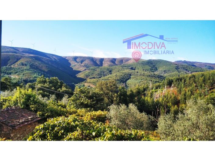 Image No.17-Maison de 2 chambres à vendre à Figueiró dos Vinhos