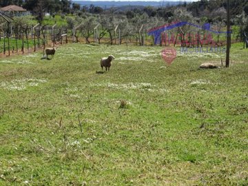 idb15b5101-0000-0500-0000-00000fffa78f