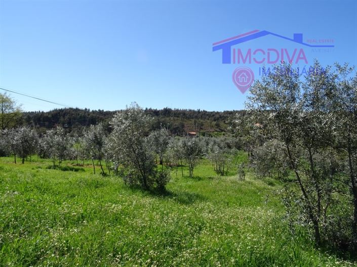 Image No.20-Maison à vendre à Pedrógão Grande