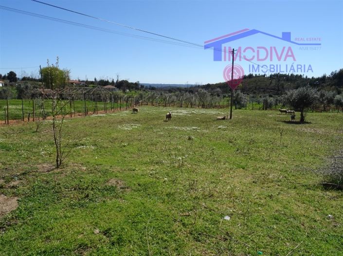 Image No.22-Maison à vendre à Pedrógão Grande