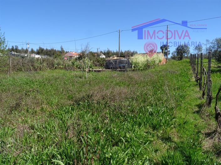 Image No.7-Maison à vendre à Pedrógão Grande