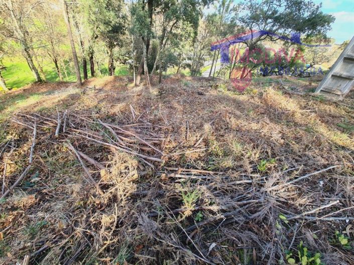 Image No.11-Terrain à vendre à Figueiró dos Vinhos